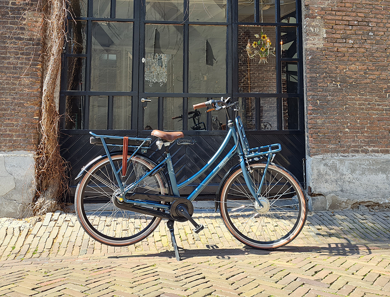 Transporter Bronx van Freebike