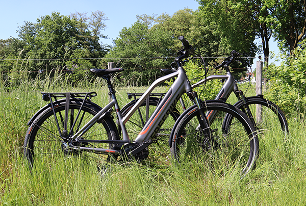 Brooklyn van Freebike