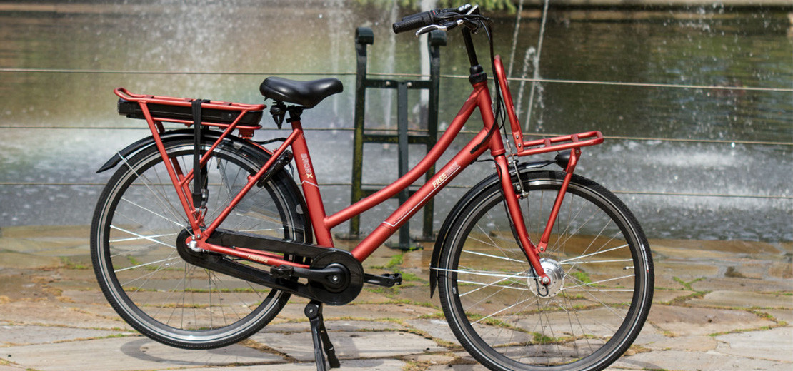 E-bike van Freebike