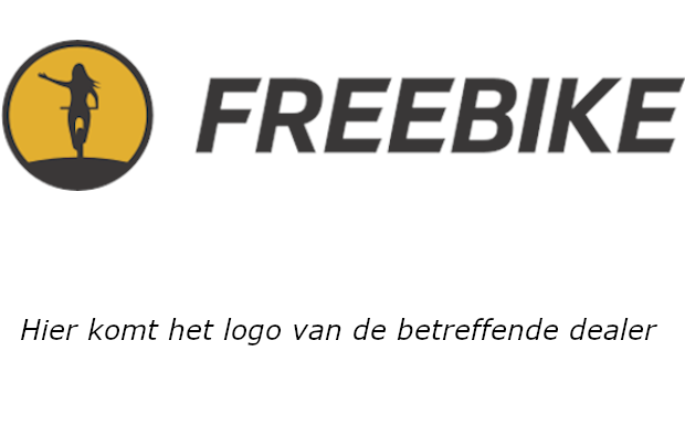 motor - Freebike Soho - Bafang